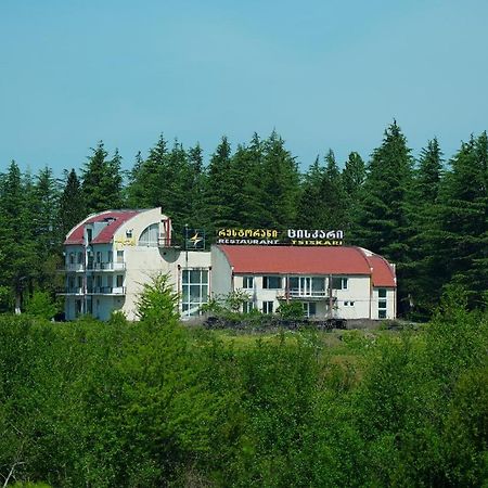 Hotel Tsiskari Ianet'i Exteriér fotografie