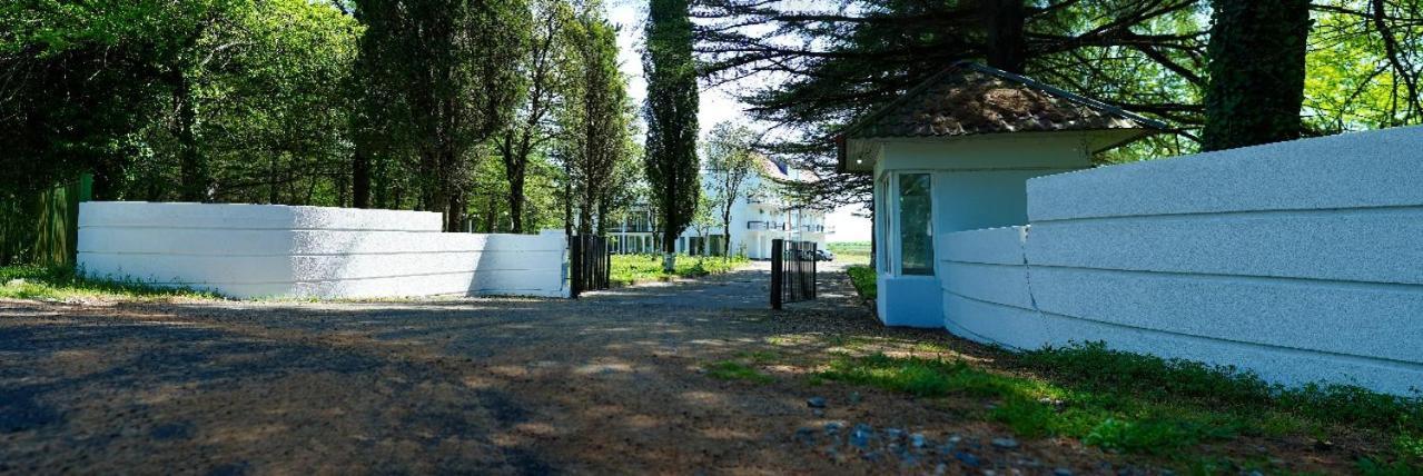 Hotel Tsiskari Ianet'i Exteriér fotografie