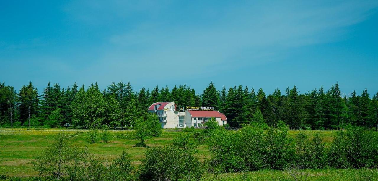 Hotel Tsiskari Ianet'i Exteriér fotografie