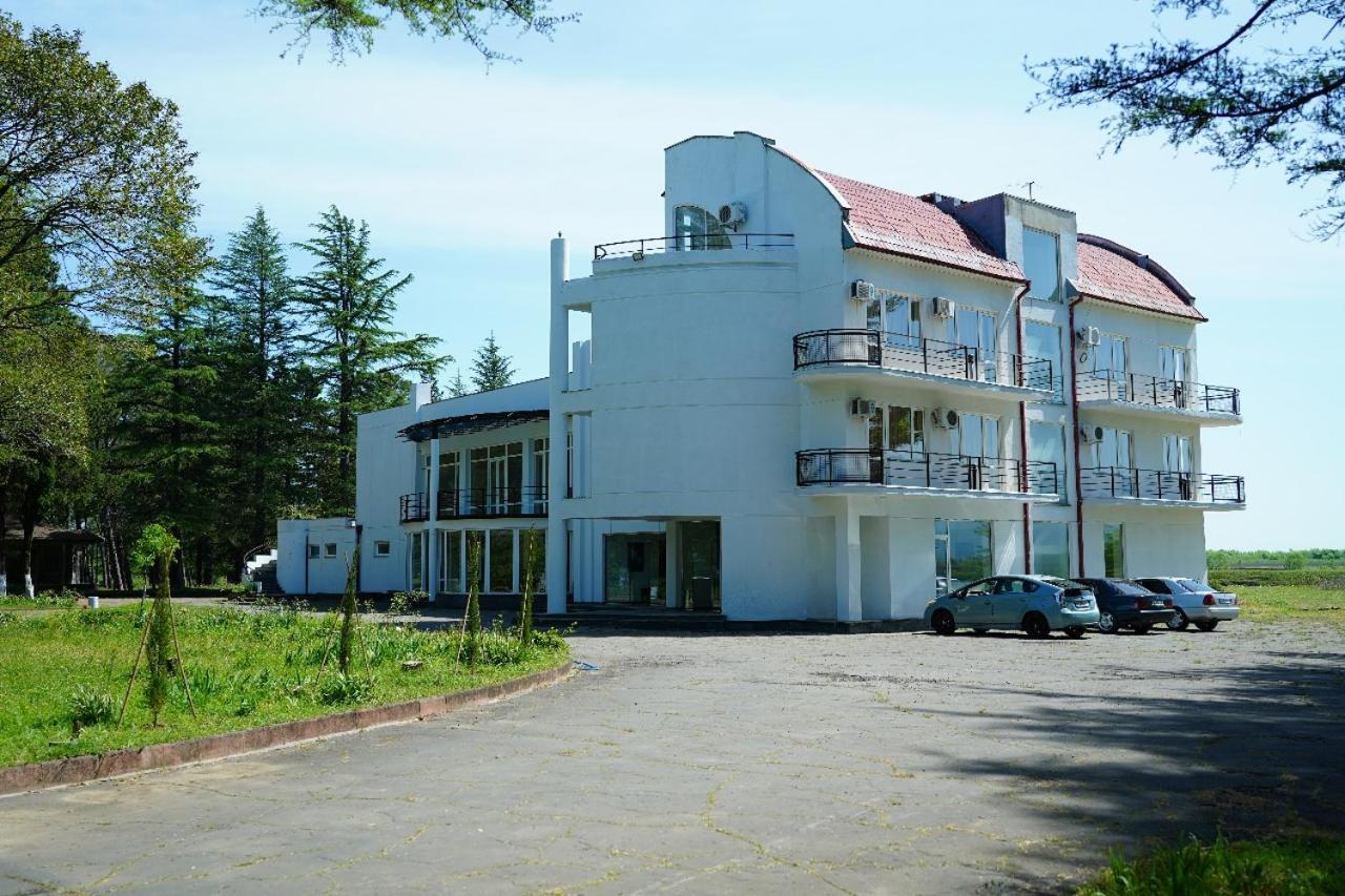 Hotel Tsiskari Ianet'i Exteriér fotografie