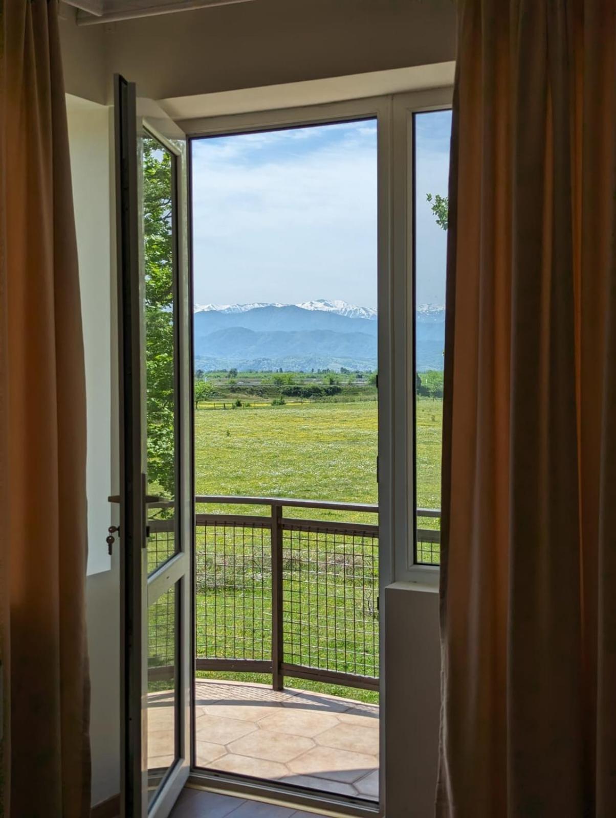 Hotel Tsiskari Ianet'i Exteriér fotografie