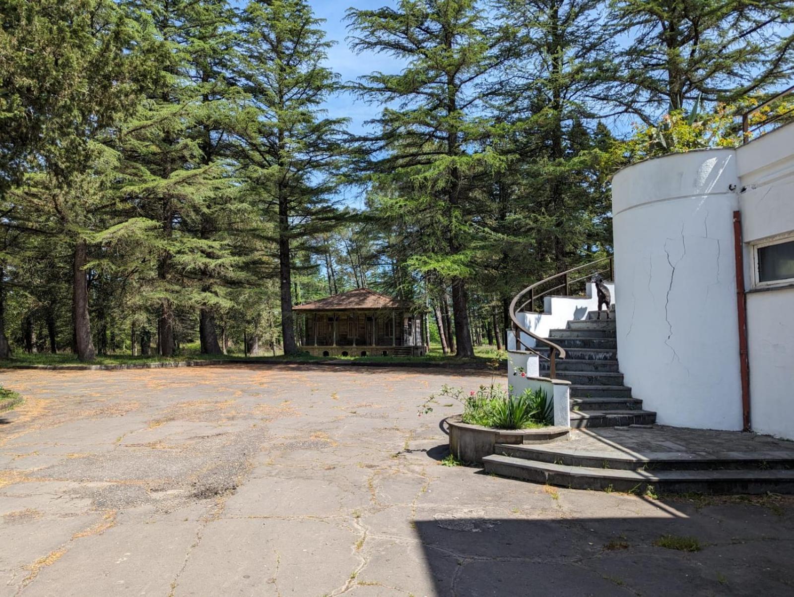 Hotel Tsiskari Ianet'i Exteriér fotografie