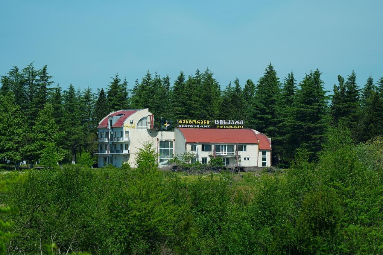 Hotel Tsiskari Ianet'i Exteriér fotografie