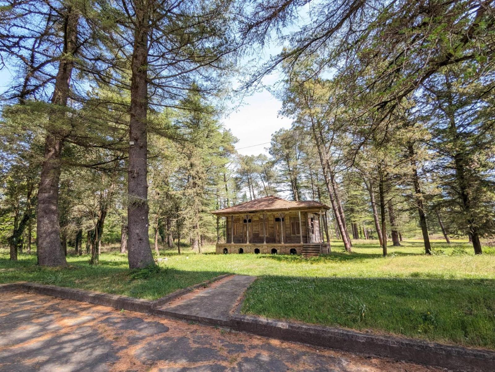 Hotel Tsiskari Ianet'i Exteriér fotografie